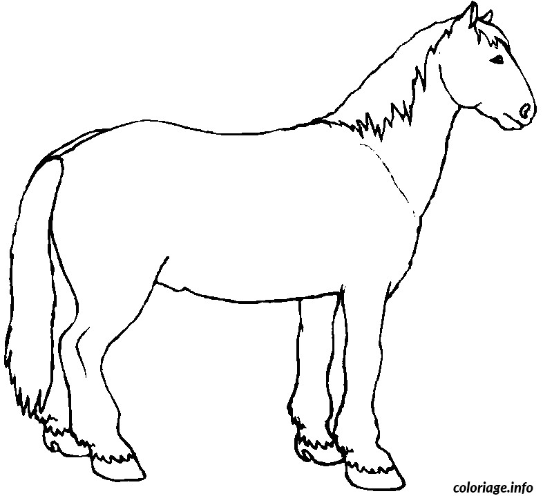 Coloriage De Cheval De Trait Coloriage Un Cheval De Trait Dessin Coloriage De Cheval De Trait Coloriage Un Cheval De Trait Dessin