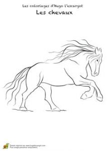 Coloriage De Chevaux De Dressage Les 191 Meilleures Images De Coloriages Animaux De Pagnie