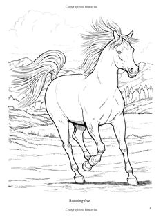 Coloriage De Chevaux Qui Galope Coloriage Chevaux