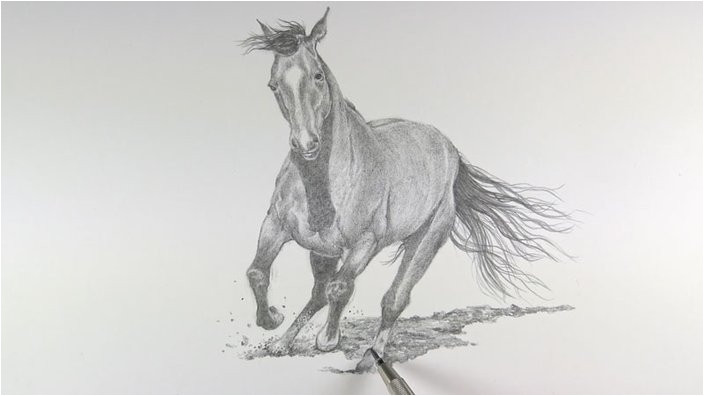 Coloriage De Chevaux Qui Galope Dessin Et Peinture Vidéo 2247 Ment Dessiner Un Cheval