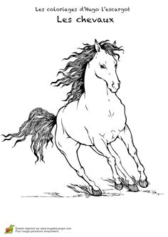 Coloriage De Chevaux Qui Galope Les 191 Meilleures Images De Coloriages Animaux De Pagnie