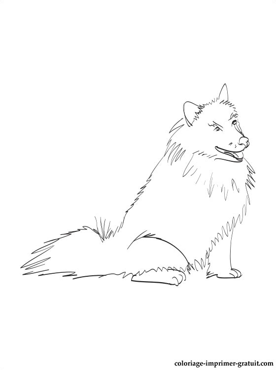 Coloriage De Chien à Imprimer Coloriage Esquimau   Imprimer