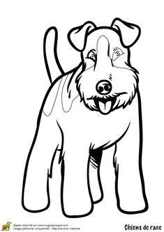 Coloriage De Chien à Imprimer Les 191 Meilleures Images De Coloriages Animaux De Pagnie