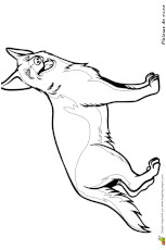 Coloriage De Chien Berger Allemand Coloriage Magique Addition Coloriage Balto Chien Loup