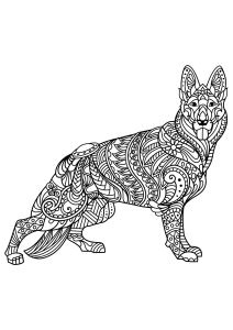 Coloriage De Chien Berger Allemand List Of Pinterest Berger Allemand Dessin Facile Pictures
