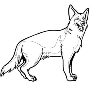 Coloriage De Chien Berger Allemand List Of Pinterest Berger Allemand Dessin Facile Pictures