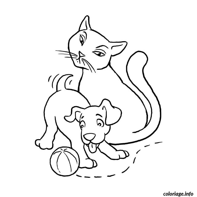 Coloriage De Chien Et De Chat A Imprimer Coloriage Chat Et Chien Dessin