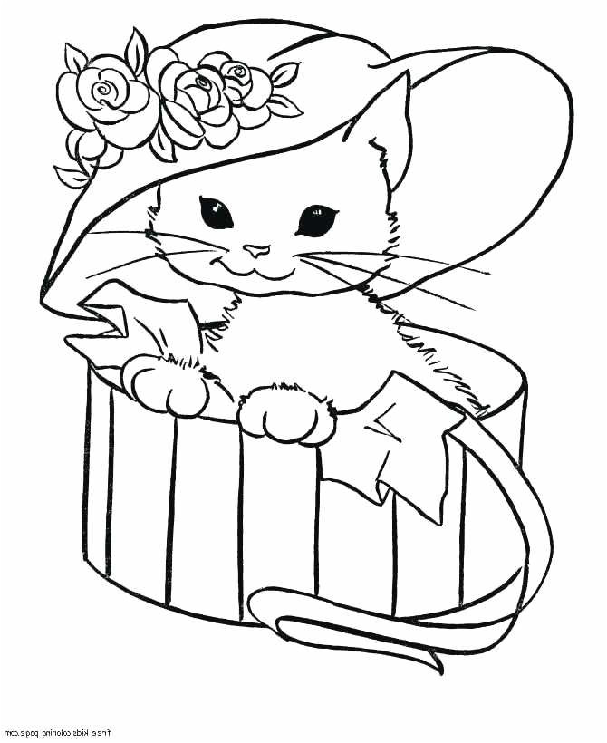 Coloriage De Chien Et De Chat A Imprimer Dessin De Chat A Imprimer Beau Coloriage Chien Coloriage