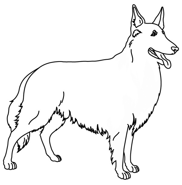 Coloriage De Chien Gratuit à Imprimer Coloriage Chien Colley à Imprimer Coloriage De Chien Gratuit à Imprimer Coloriage Chien Colley à Imprimer