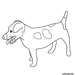 Coloriage De Chien Jack Russel Coloriage Chien Jack Russel Dessin