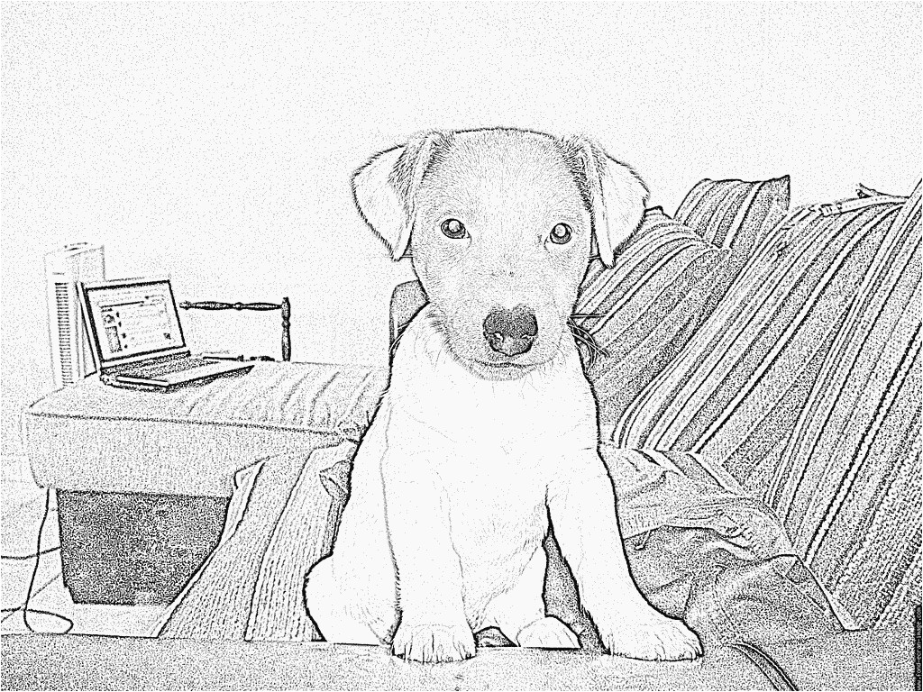 Coloriage De Chien Jack Russel Coloriage Dsc à Imprimer Pour Les Enfants Dessin