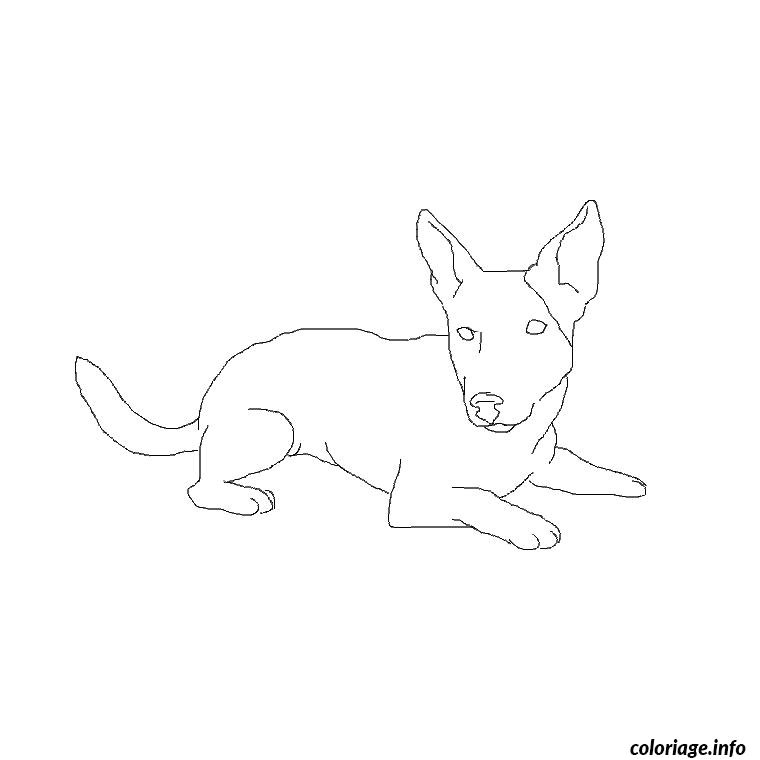 Coloriage De Chien Jack Russel Dessin De Chien Jack Russel Les Dessins Et Coloriage