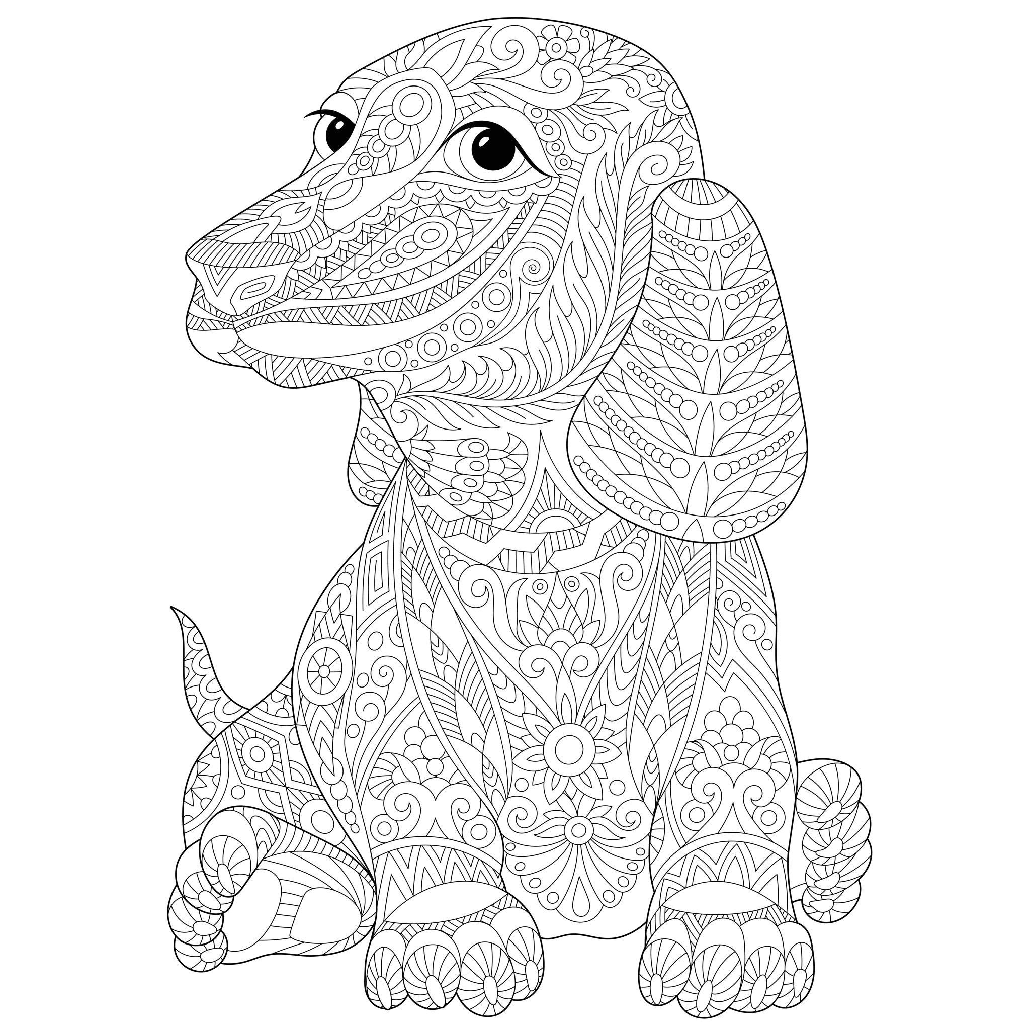 Coloriage De Chine A Imprimer Chien Teckel Chiens Coloriages Difficiles Pour Adultes
