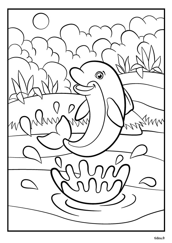 Coloriage De Dauphins A Imprimer Gratuit Coloriage Un Dauphin Coloriages Animaux