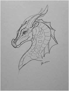 Coloriage De Dragon à Imprimer Les 1050 Meilleures Images De Les Royaumes De Feu En 2020