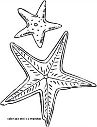 Coloriage De Etoile De Mer â Coloriage Etoile Filante A Imprimer