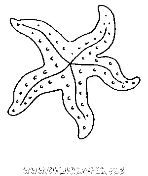 Coloriage De Etoile De Mer Coloriage Mer Et Poissons Gratuit 8173 Animaux