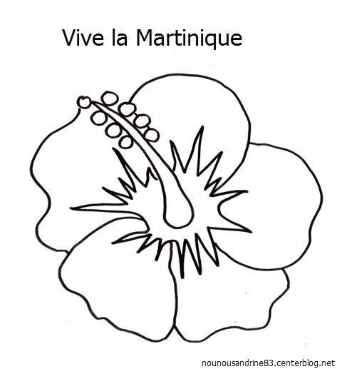 Coloriage De Fleur De Tahiti 6 Continents Amerique Page 2 Coloriage De Fleur De Tahiti 6 Continents Amerique Page 2