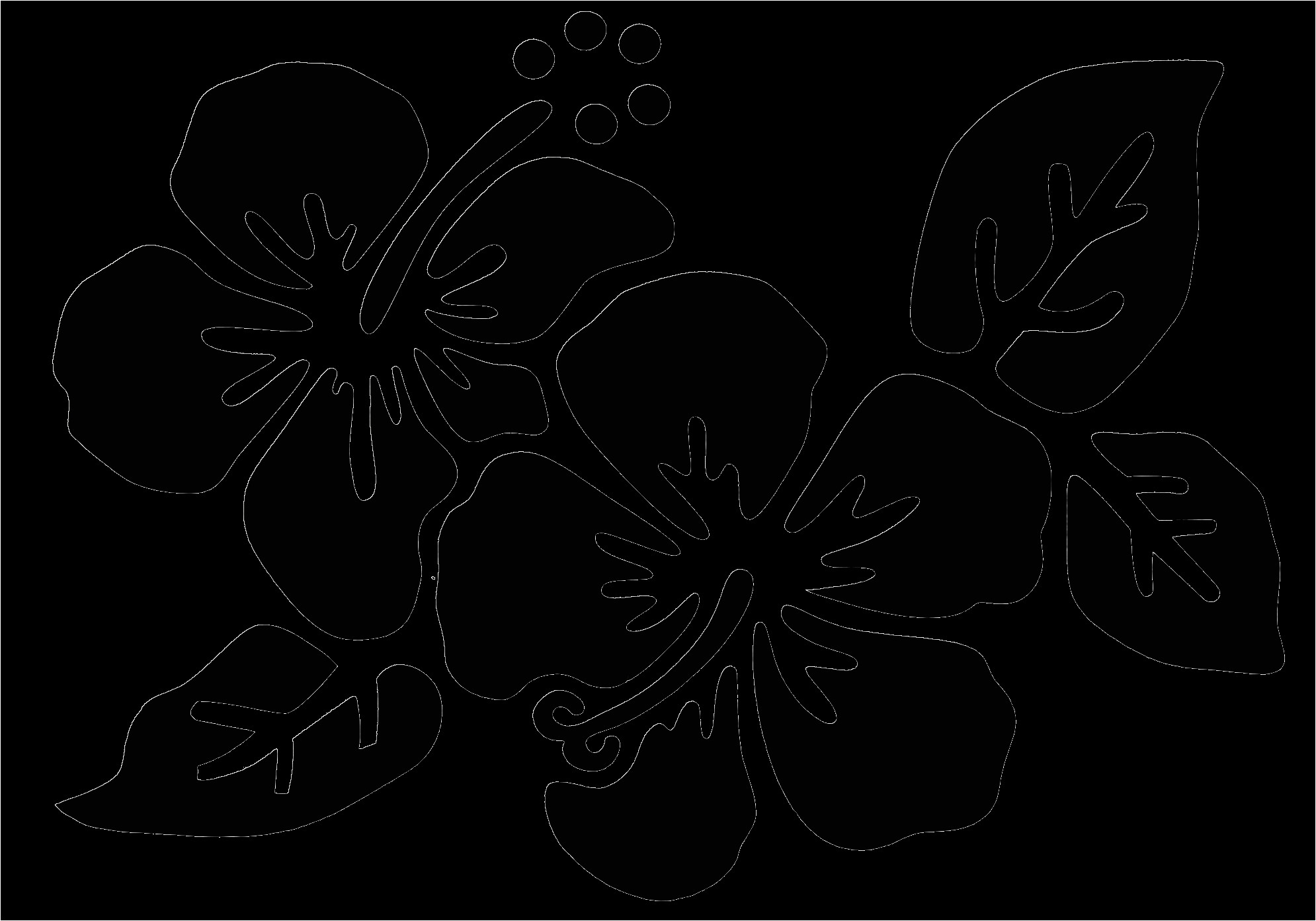 Coloriage De Fleur De Tahiti Fleurs Tahiti Dessin Coloriage De Fleur De Tahiti Fleurs Tahiti Dessin