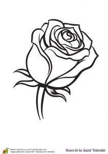 Coloriage De Fleurs De Rose Coloriage Adorable Rose Saint Valentin Fermee Sur