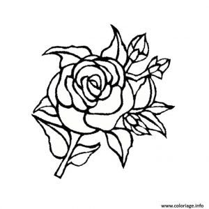 Coloriage De Fleurs De Rose Coloriage Rose Fleur Dessin