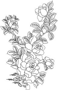Coloriage De Fleurs De Rose Coloriage Un Bouquet De Roses Dory Coloriages