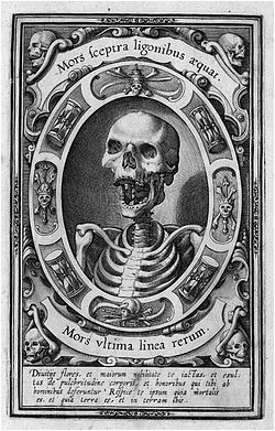 Coloriage De Franky andrade Portal tod Wikiwand