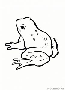 Coloriage De Grenouille à Imprimer Coloriage Grenouille à Découper Dessin Gratuit à Imprimer