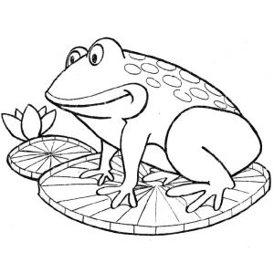 Coloriage De Grenouille à Imprimer En Direct Du Seren I Coloriages Pour Enfants