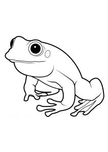 Coloriage De Grenouille à Imprimer Ment Dessiner Une Grenouille