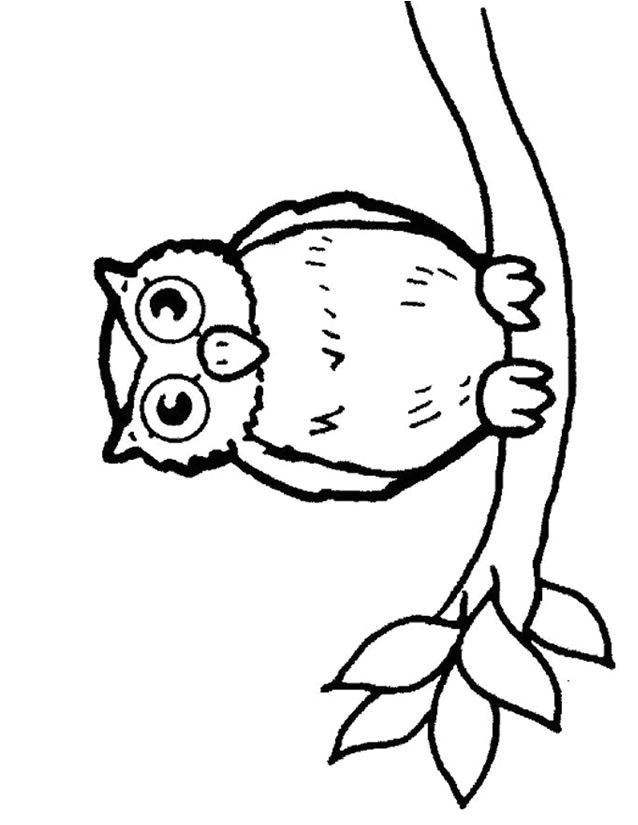 Coloriage De Hiboux A Imprimer 24 Dessins De Coloriage Hibou à Imprimer