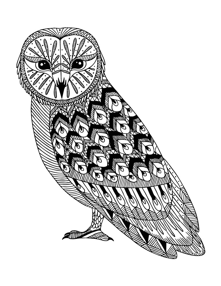 Coloriage De Hiboux A Imprimer Chouette Hibou Coloriage A Colorier Pour Adulte