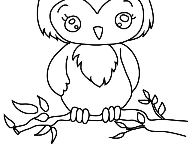 Coloriage De Hiboux A Imprimer Coloriage Pour tout Petit Gratuit En Ligne Dessins
