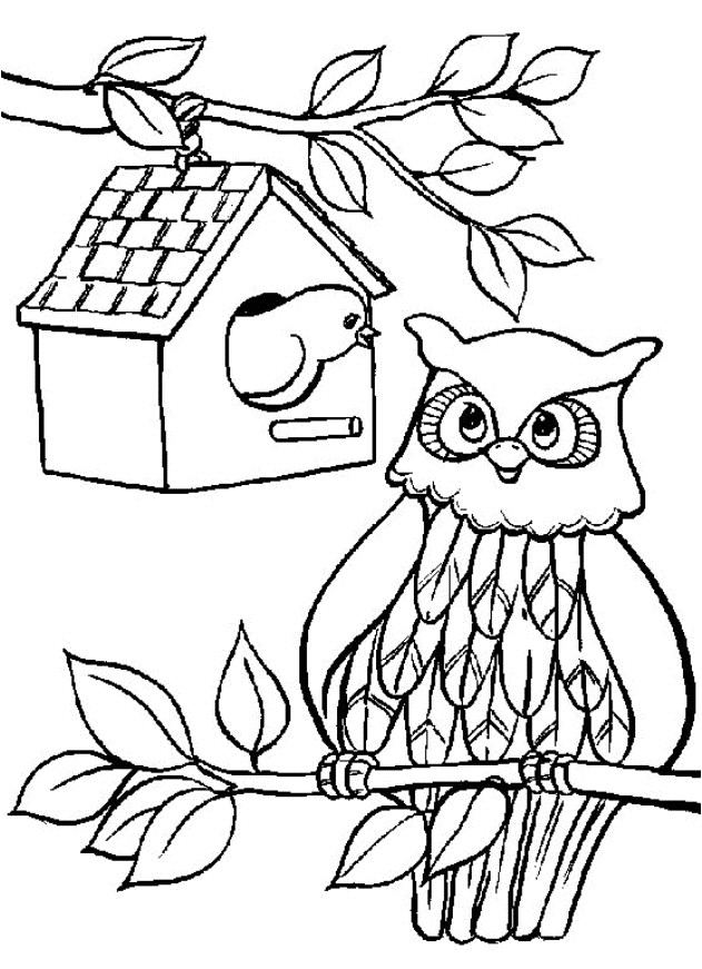 Coloriage De Hiboux A Imprimer Hibou Arbre Coloriage De Hiboux Coloriages Pour Enfants