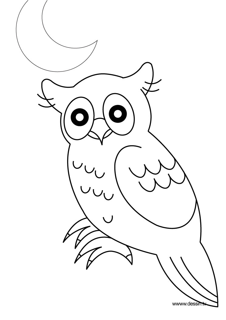 Coloriage De Hiboux A Imprimer Hibou Coloriage De Hiboux Coloriages Pour Enfants