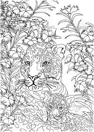 Coloriage De Jaguar A Imprimer épinglé Sur Coloriage