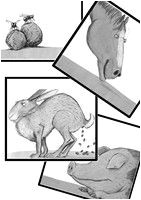 Coloriage De La Petite Taupe Qui Voulait Savoir La Petite Taupe