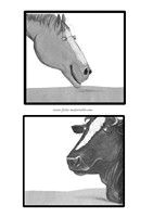 Coloriage De La Petite Taupe Qui Voulait Savoir La Petite Taupe