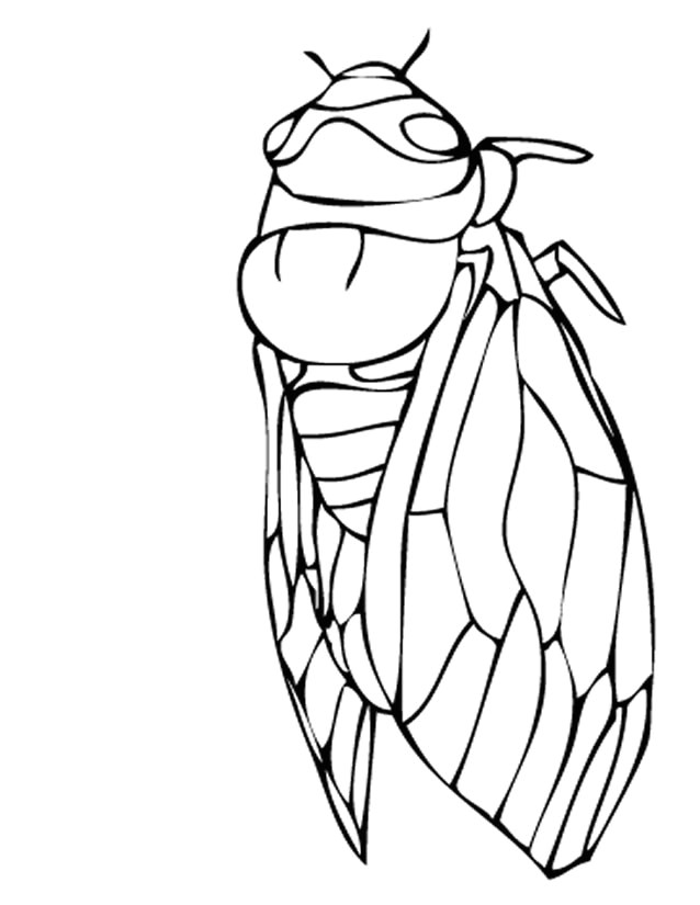 Coloriage De La Schtroumpfette Coloriage Cigale à Imprimer Gratuitement