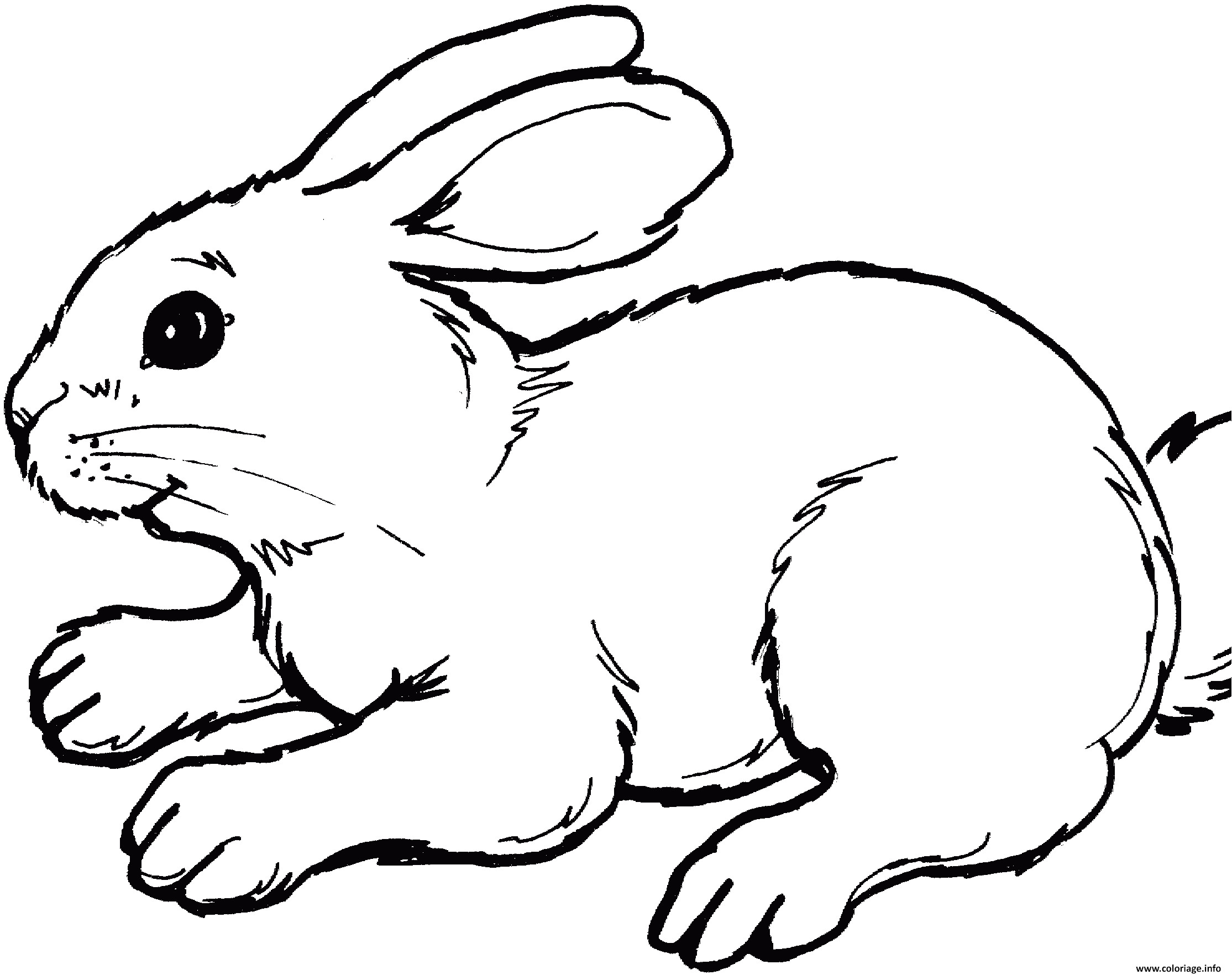 Coloriage De Lapin Belier Coloriage Lapin Kawai Mange Des Nouilles En Ligne Gratuit