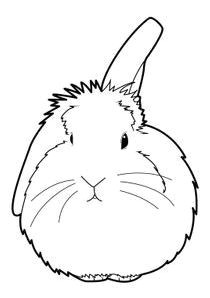 Coloriage De Lapin Belier Dessin D Un Lapin Facile