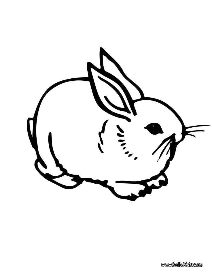 Coloriage De Lapin Calin Coloriage De Lapin Calin Ohbqfo