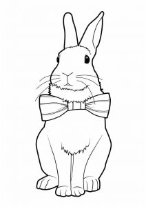 Coloriage De Lapin Calin Pixel Art Lapin Mignon Favori Coloriage De Lapin Fresh