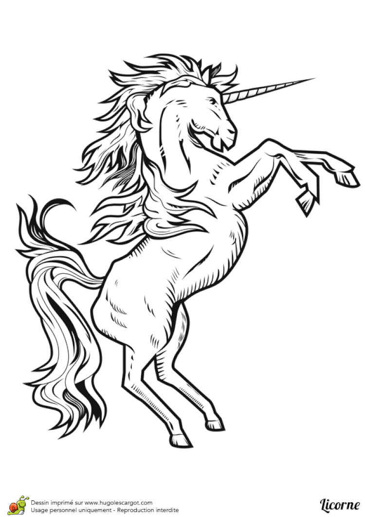 Coloriage De Licorne Sur Hugo L Escargot Coloriage Licornes Imprimer Sur Hugolescargot Avec