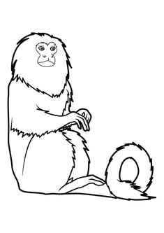 Coloriage De Noel A Imprimer Hugo L Escargot Les 15 Meilleures Images De Coloriage Hugo L Escargot