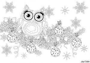 Coloriage De Noel à Imprimer Pour Adulte Christmas Owl On A Branch without Text Christmas Adult