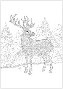 Coloriage De Noel à Imprimer Pour Adulte Renne De Noël Noël Coloriages Difficiles Pour Adultes