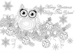Coloriage De Noel Adulte A Imprimer Christmas Owl On A Branch with Text Christmas Adult
