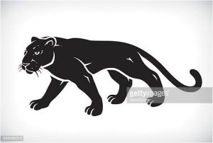 Coloriage De Panthere Noire A Imprimer Black Leopard Vector Art and Graphics