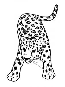 Coloriage De Panthere Noire A Imprimer Léopard Animaux – Coloriages à Imprimer